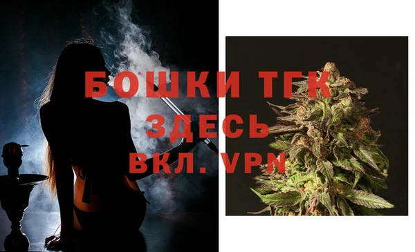 ПСИЛОЦИБИНОВЫЕ ГРИБЫ Бородино