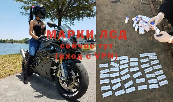 ПСИЛОЦИБИНОВЫЕ ГРИБЫ Бородино