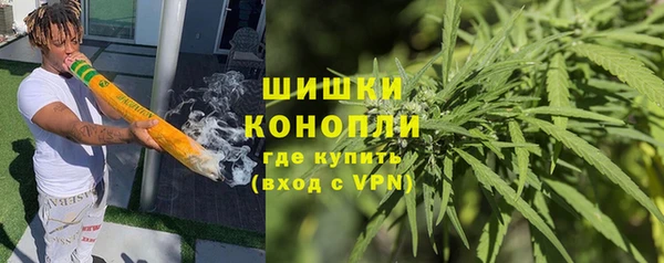 ПСИЛОЦИБИНОВЫЕ ГРИБЫ Бородино